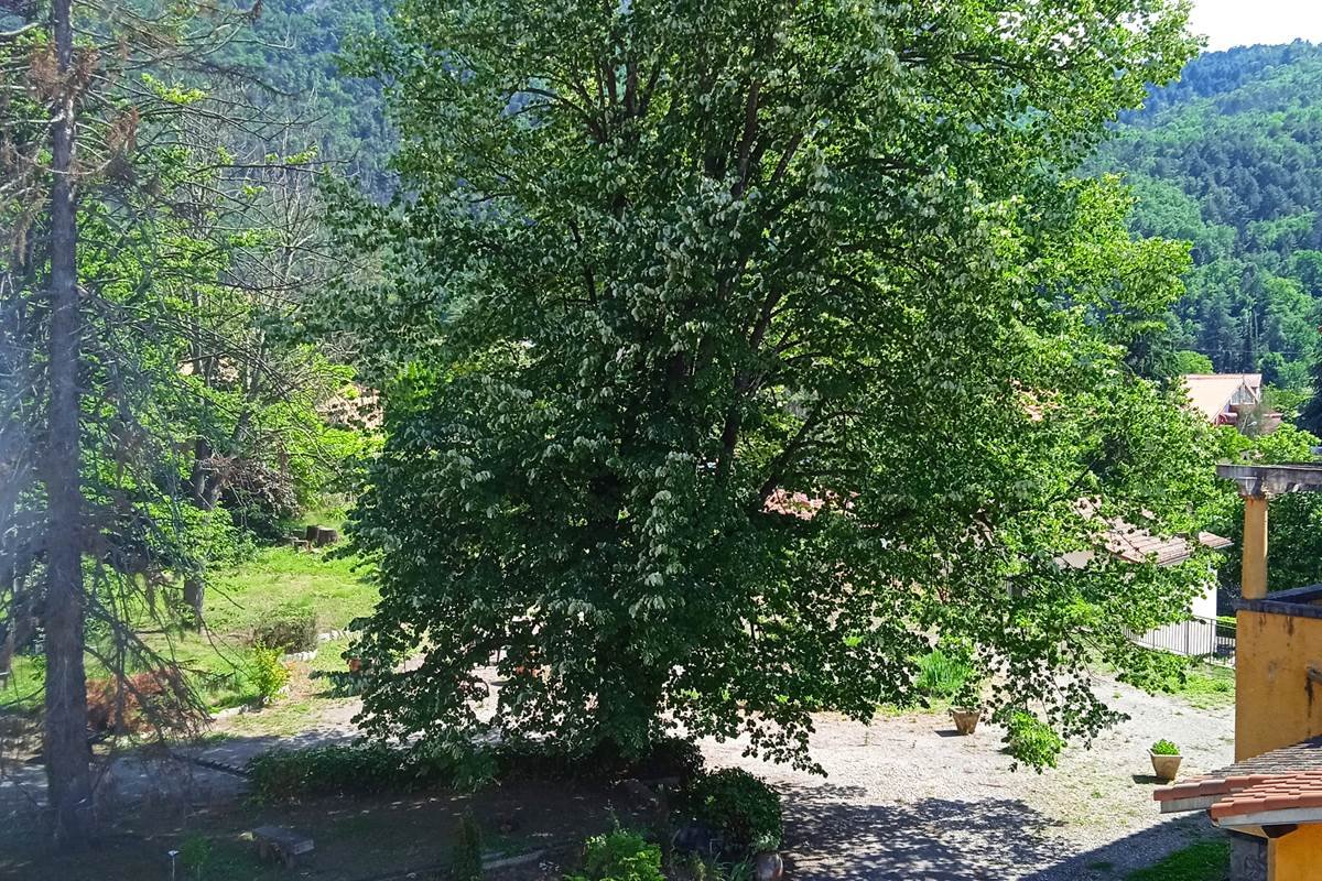 IMG_20210613_164024_1