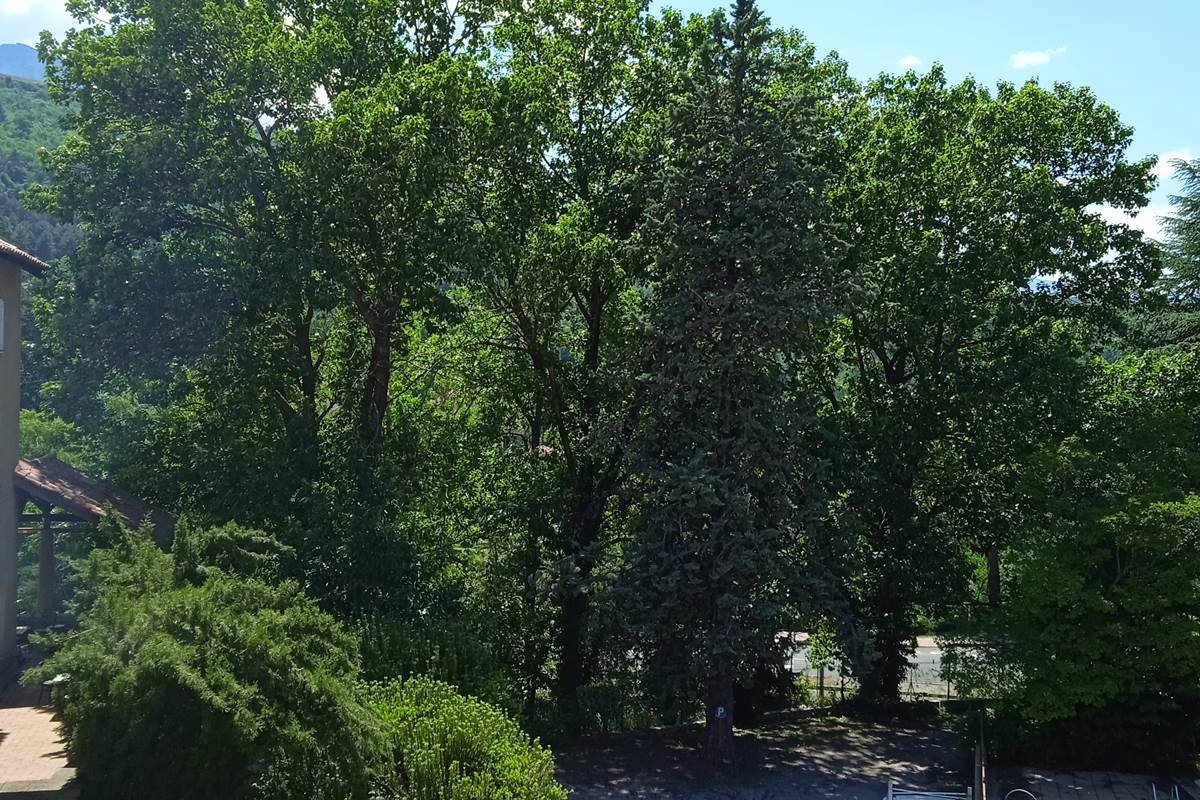 IMG_20210613_153348_1